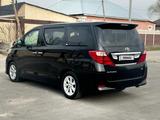 Toyota Alphard 2010 года за 9 500 000 тг. в Тараз – фото 4