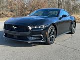 Ford Mustang 2025 года за 18 459 000 тг. в Алматы
