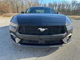 Ford Mustang 2025 года за 18 459 000 тг. в Алматы – фото 2