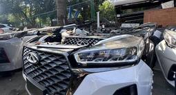 Ноускат за 100 000 тг. в Алматы