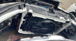 Ноускат за 100 000 тг. в Алматы – фото 5