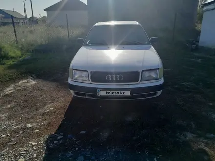 Audi 100 1992 года за 1 400 000 тг. в Талдыкорган – фото 4