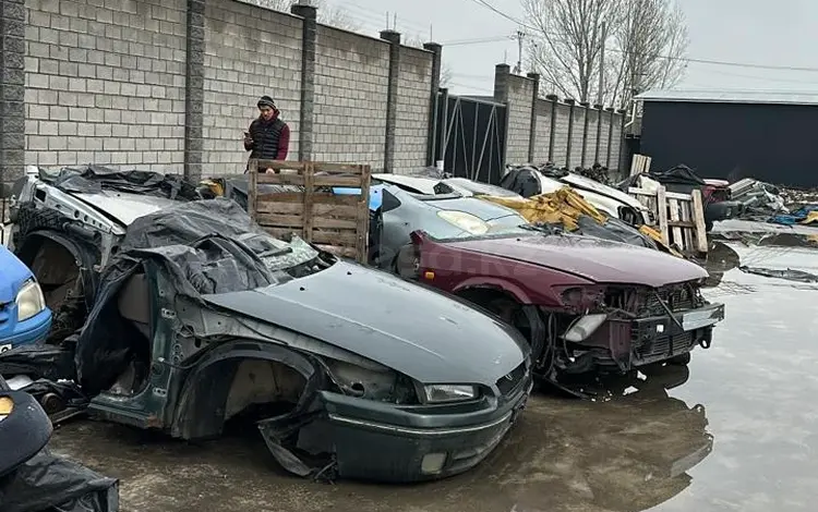 Авкат за 150 000 тг. в Алматы