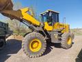 SDLG  L953F 2024 года за 23 000 000 тг. в Караганда