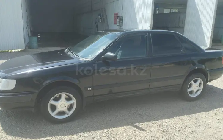 Audi 100 1993 года за 1 800 000 тг. в Мерке