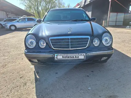 Mercedes-Benz E 240 2001 года за 4 300 000 тг. в Павлодар – фото 4