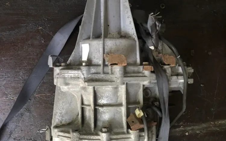 Раздатка за 40 000 тг. в Алматы