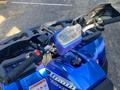  ATV TAO MOTOR BRAVES 250 2024 годаүшін895 000 тг. в Караганда – фото 7