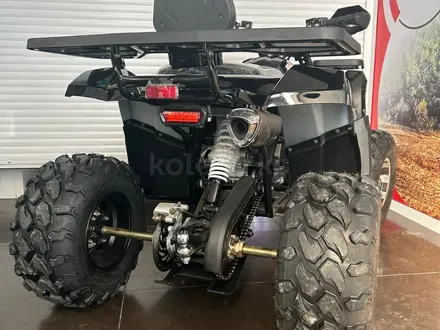  ATV TAO MOTOR BRAVES 250 2024 года за 895 000 тг. в Караганда – фото 13