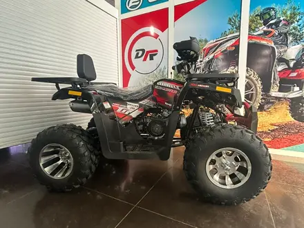  ATV TAO MOTOR BRAVES 250 2024 года за 895 000 тг. в Караганда – фото 11