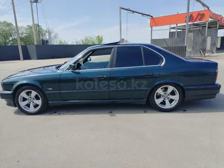 BMW 525 1994 года за 2 800 000 тг. в Алматы – фото 23