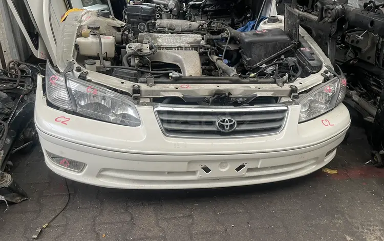 Ноускат Морда Toyota Camry25үшін350 000 тг. в Алматы