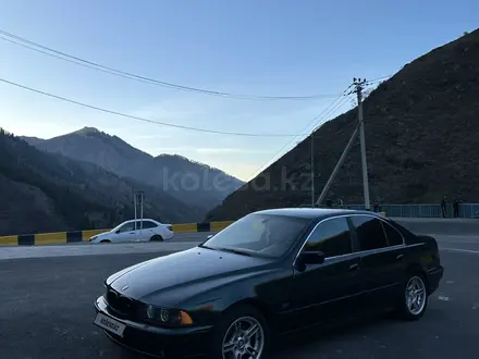 BMW 530 2000 года за 4 430 000 тг. в Алматы – фото 7