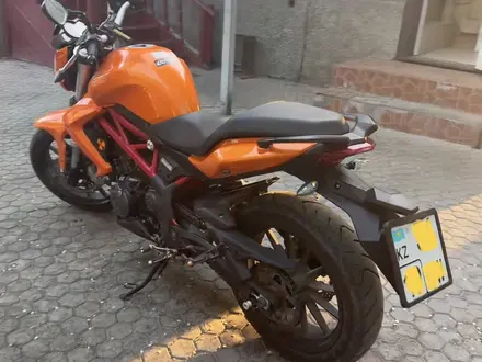 Benelli 2017 года за 1 500 000 тг. в Алматы – фото 3