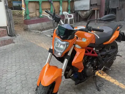 Benelli 2017 года за 1 500 000 тг. в Алматы – фото 4