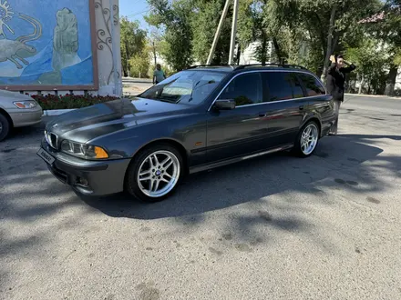 BMW 525 2002 года за 5 900 000 тг. в Тараз – фото 25