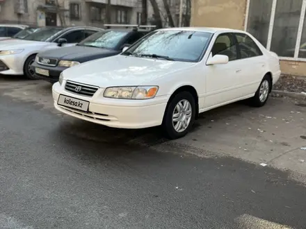 Toyota Camry 1999 года за 4 200 000 тг. в Алматы