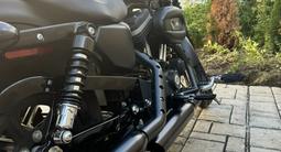 Harley-Davidson  Sportster 883 2010 года за 3 300 000 тг. в Алматы – фото 4