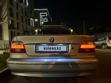 BMW 525 2002 года за 6 100 000 тг. в Алматы – фото 9