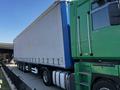 Renault  Magnum 2007 годаүшін21 000 000 тг. в Алматы – фото 18