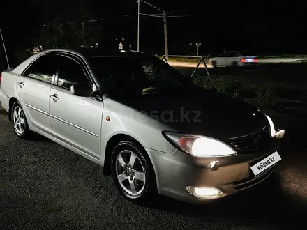 Toyota Camry 2003 года за 6 300 000 тг. в Шымкент – фото 14