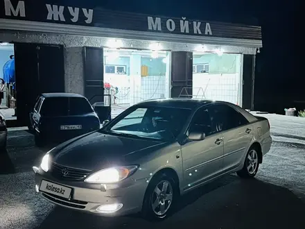 Toyota Camry 2003 года за 6 300 000 тг. в Шымкент – фото 15