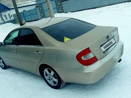 Toyota Camry 2003 года за 4 699 999 тг. в Аулиеколь – фото 3