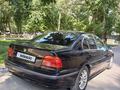 BMW 528 1998 года за 2 700 000 тг. в Тараз – фото 9