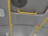 ПАЗ  4234-04 2026 года за 30 000 000 тг. в Павлодар – фото 2