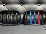 Ноздри, Решетка радиатора для BMW за 5 000 тг. в Алматы