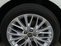 Toyota Camry 2020 годаүшін16 200 000 тг. в Шымкент – фото 16