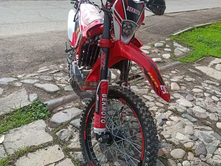 Regulmoto  XDV 300 2024 года за 850 000 тг. в Алматы – фото 2