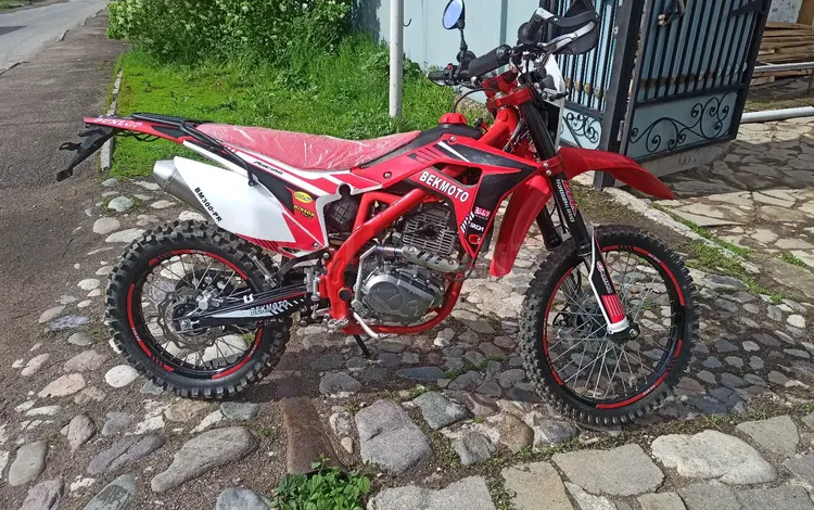 Regulmoto  XDV 300 2024 года за 850 000 тг. в Алматы