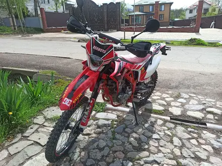Regulmoto  XDV 300 2024 года за 850 000 тг. в Алматы – фото 4