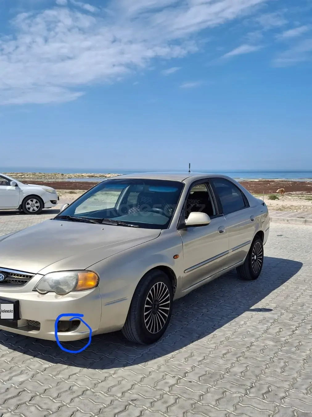 Kia Shuma, 2004