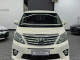 Toyota Alphard 2012 года за 6 200 000 тг. в Шымкент