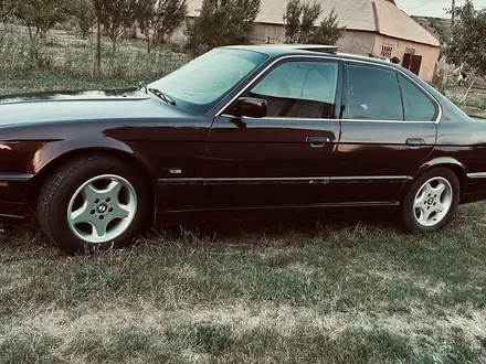 BMW 520 1994 годаүшін1 600 000 тг. в Шымкент
