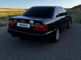 Audi A6 1996 годаүшін4 100 000 тг. в Шымкент – фото 3