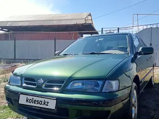 Nissan Primera