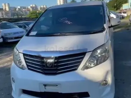 Toyota Alphard 2011 года за 11 950 000 тг. в Алматы – фото 10