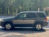 Ford Escape 2005 года за 3 300 000 тг. в Тараз – фото 4