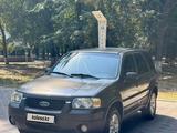 Ford Escape 2005 года за 3 300 000 тг. в Тараз – фото 5