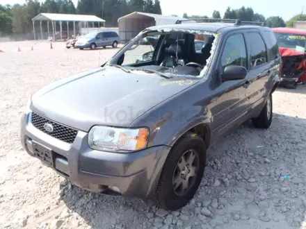 Ford Escape 2005 года за 262 626 тг. в Алматы – фото 2