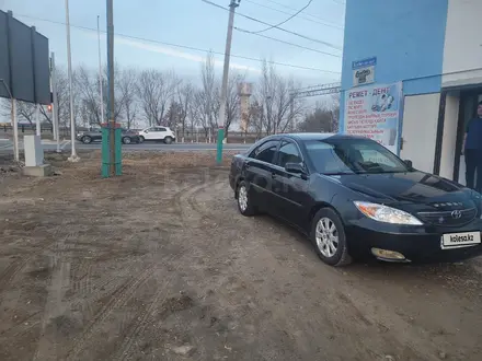 Toyota Camry 2002 года за 4 200 000 тг. в Шиели – фото 3