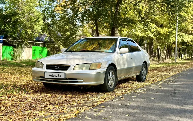 Toyota Camry 2000 годаүшін3 790 000 тг. в Алматы