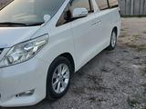 Toyota Alphard 2010 года за 12 000 000 тг. в Алматы