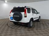 Honda CR-V 2006 годаүшін4 360 000 тг. в Шымкент – фото 5