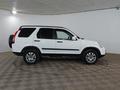 Honda CR-V 2006 года за 4 360 000 тг. в Шымкент – фото 4