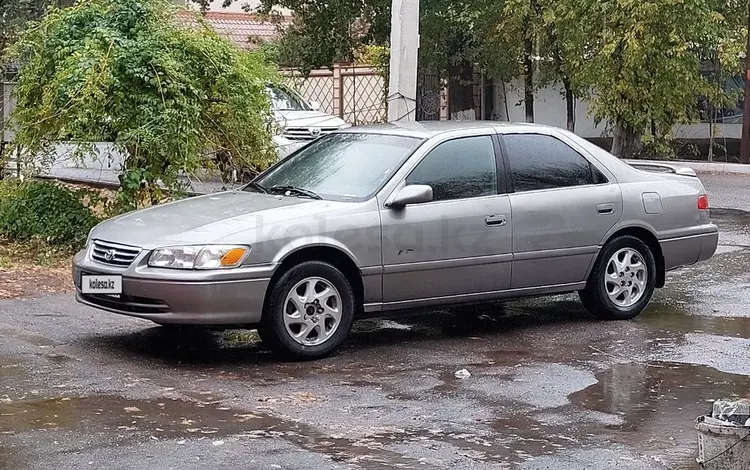 Toyota Camry 2000 года за 3 500 000 тг. в Шымкент