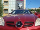 Mercedes-Benz SLK 280 2006 года за 9 500 000 тг. в Костанай – фото 2